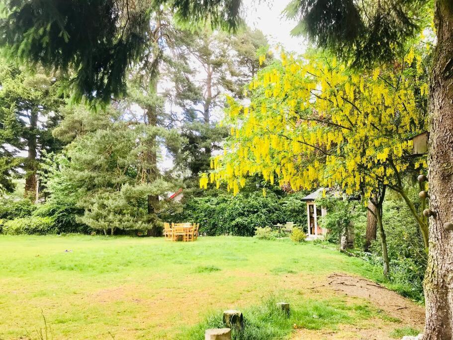 The Beeches Studio, Highlands Of Scotland ニュートンモア エクステリア 写真
