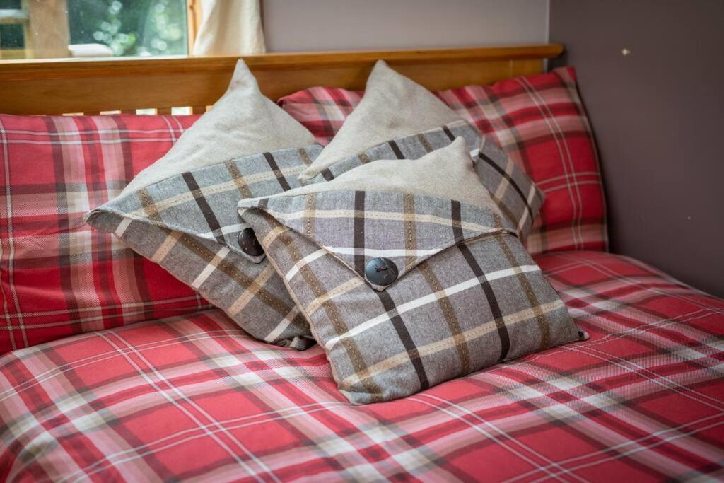 The Beeches Studio, Highlands Of Scotland ニュートンモア エクステリア 写真
