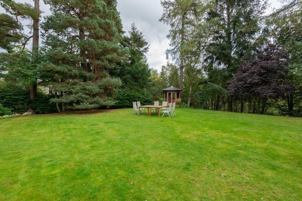 The Beeches Studio, Highlands Of Scotland ニュートンモア エクステリア 写真