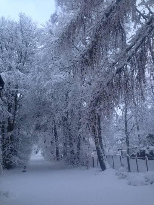 The Beeches Studio, Highlands Of Scotland ニュートンモア エクステリア 写真